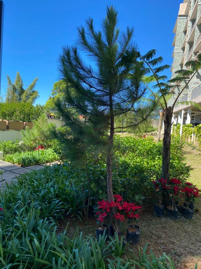 Near Johnhay Minesview Fast Wi-Fi Netflix Balcony Apartment Baguio City Ngoại thất bức ảnh